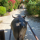 2025�N�Ί_���Ј����s16